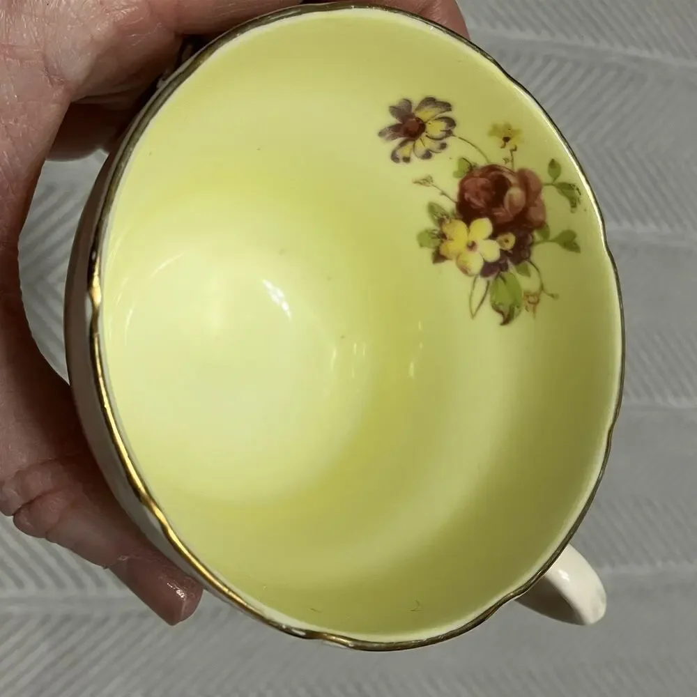 Foley Bone China Rosette Pink and Biqsue Teacup and Saucer Set Yellow Interior